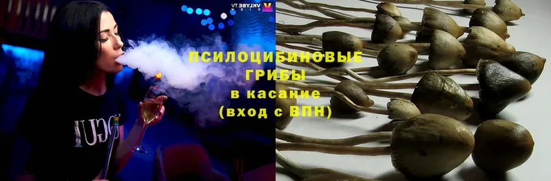 omg ССЫЛКА  Долинск  Псилоцибиновые грибы Magic Shrooms 